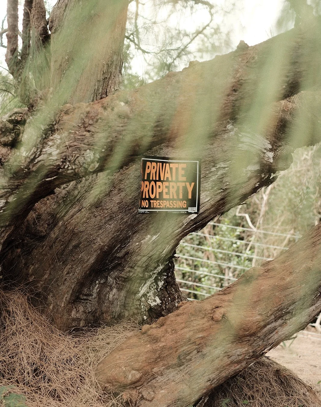 Private property no trespassing sign nailed to a gnarled tree beside a wire fence