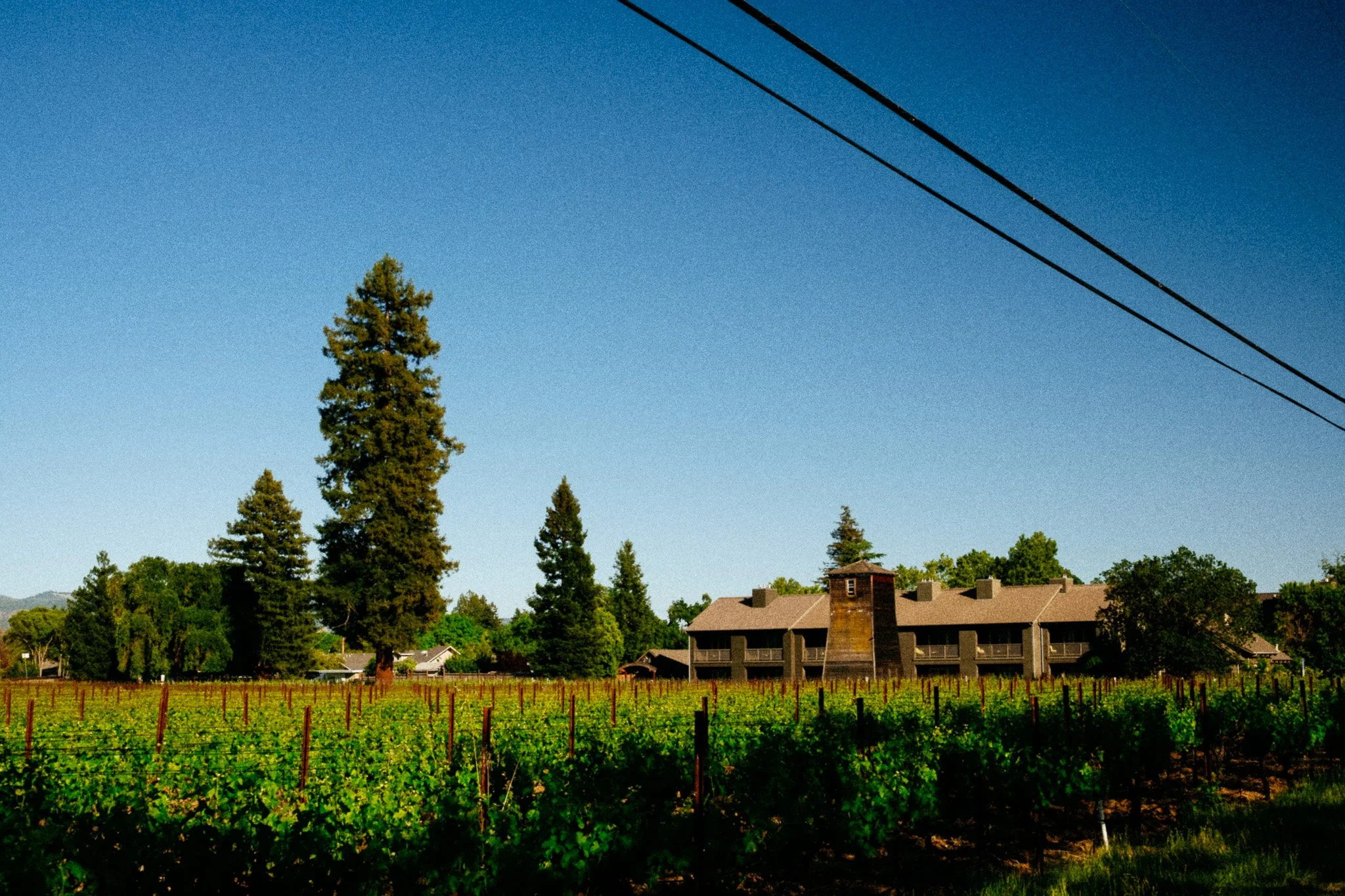 Vineyard rows in front of a Napa winery building with a wooden water tower