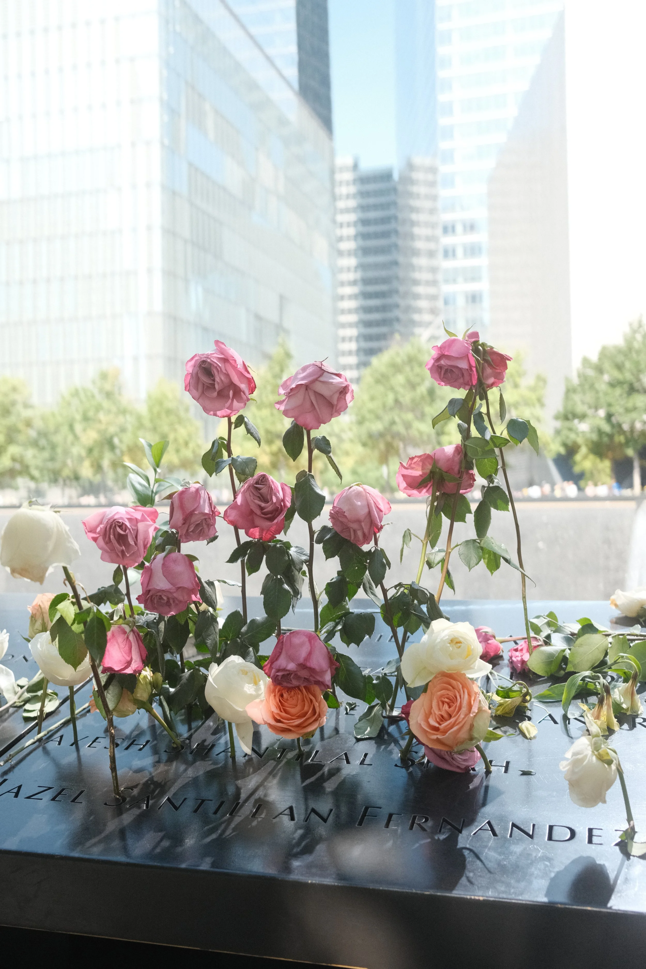 Pink and white roses placed in engraved names at the 9/11 Memorial